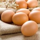 Исследование подтвердило влияние яиц на продолжительность жизни
