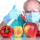 Ученые поставили точку в разговорах об опасности ГМО