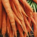 Эксперт рассказала, чем опасна сырая морковь