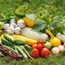 Составлен рейтинг самых полезных огородных овощей