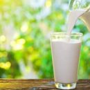 Медики рассказали о вреде молочных продуктов