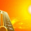 Как с минимальными для здоровья потерями перенести жаркое лето