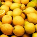 Врачи рассказали, как лимоны влияют на здоровье