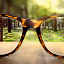 Ученые нашли способ предотвратить потерю зрения