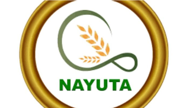 Отзывы и обзор Nayuta: маркетинговая сеть, строящая бизнес на продуктах и услугах по оздоровлению организма человека