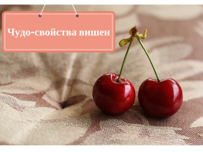 Шесть веских причин чаще есть вишню Шесть веских причин чаще есть вишню