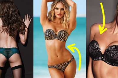 Восемь килограмм за две недели: на этой диете сидят «ангелы» Victoria’s Secret Восемь килограмм за две недели: на этой диете сидят «ангелы» Victoria’s Secret