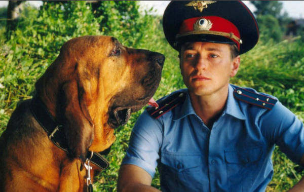 «Участок» — душевный сериал с Безруковым, который хочется пересматривать